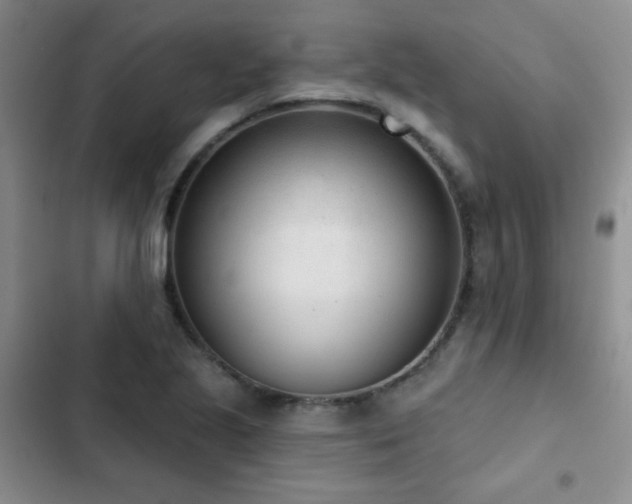 X0000102851221200808181410