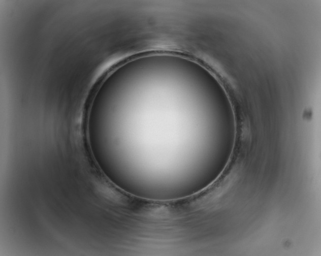 X0000102851222200808181410