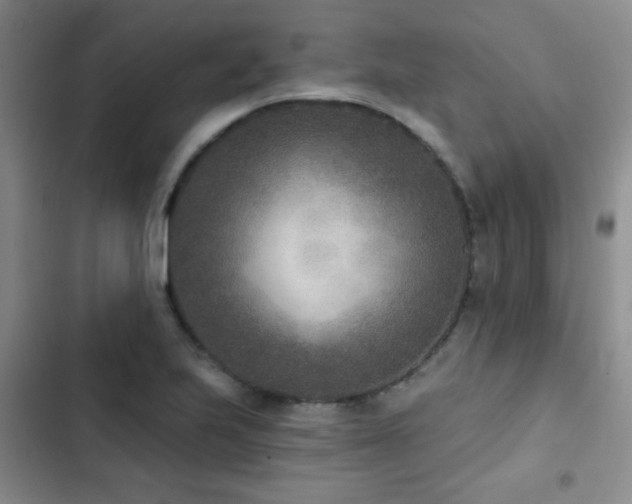 X0000102851223200808181410