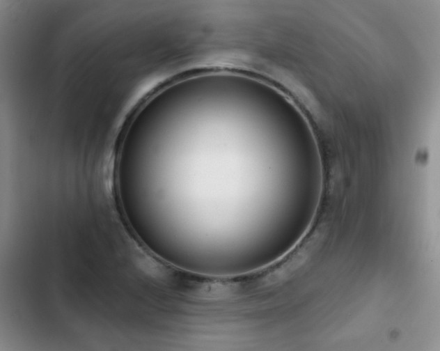 X0000102851224200808181410