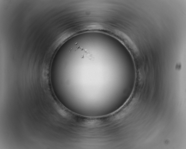 X0000102851225200808181410