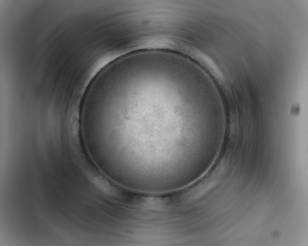 X0000102851226200808181410