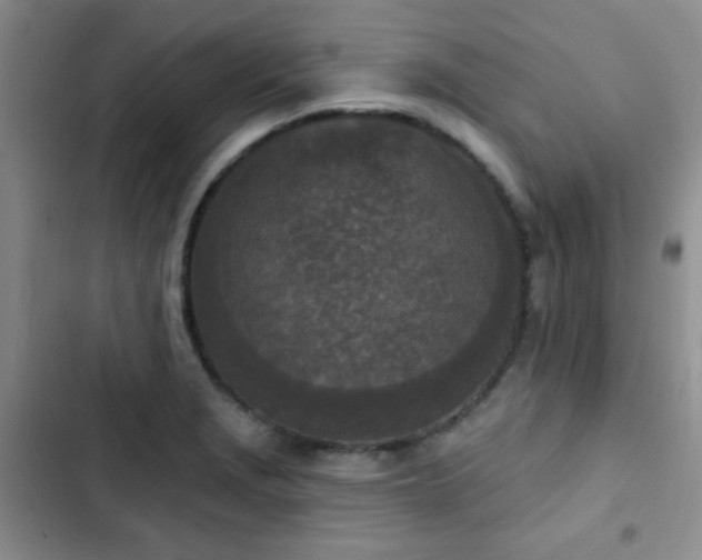 X0000102851229200808181410