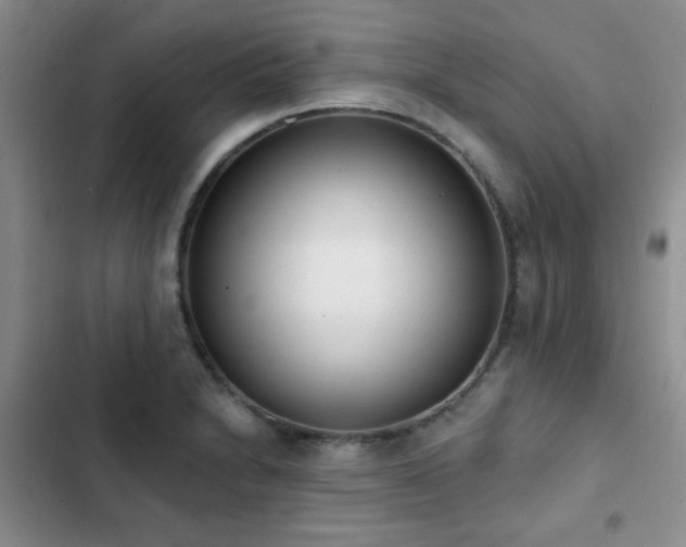 X0000102851230200808181410