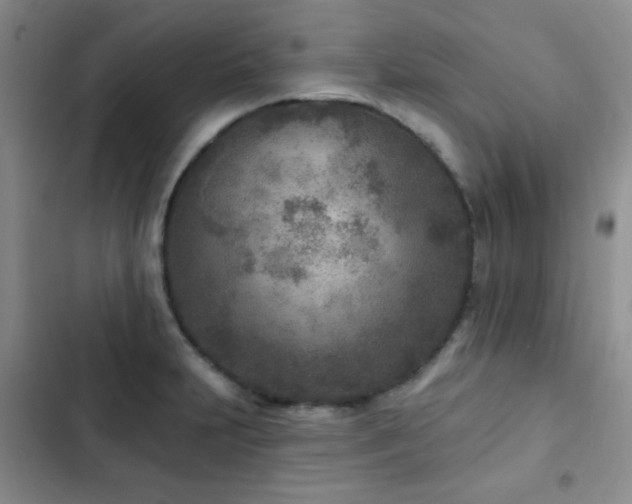 X0000102851231200808181410