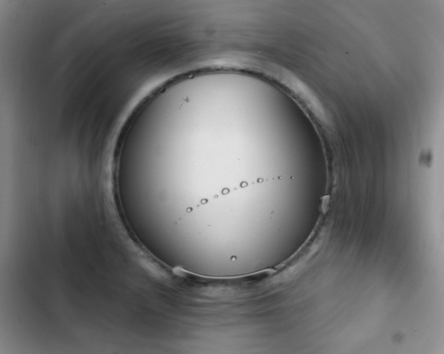 X0000102851232200808181410