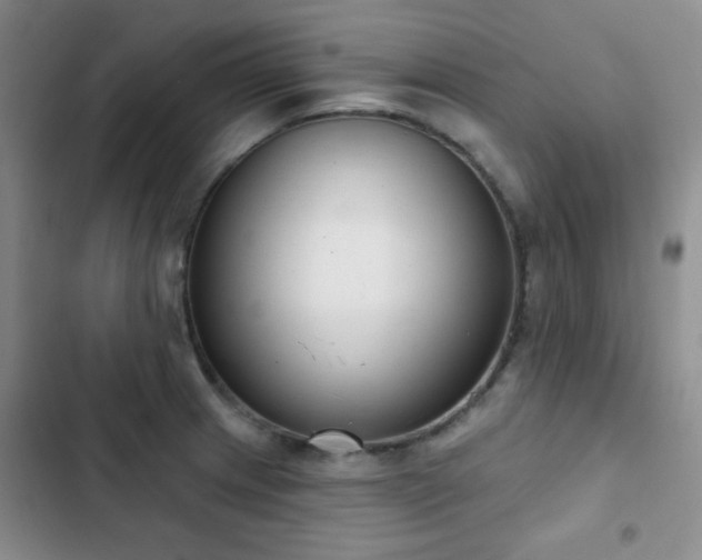 X0000102851233200808181410