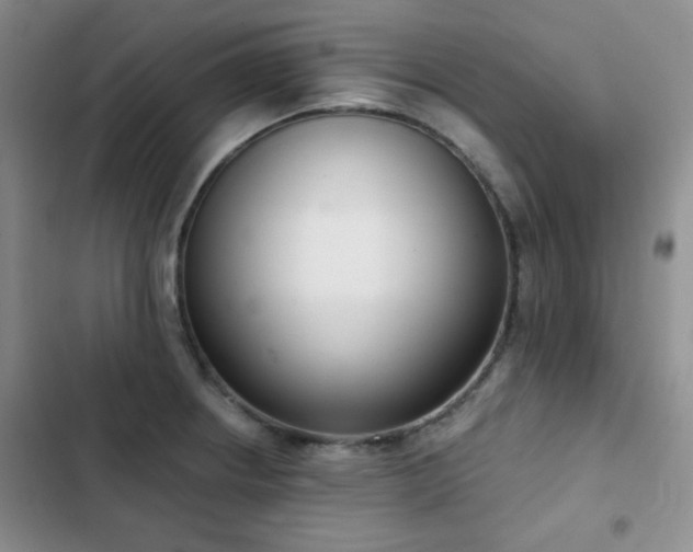 X0000102851234200808181410