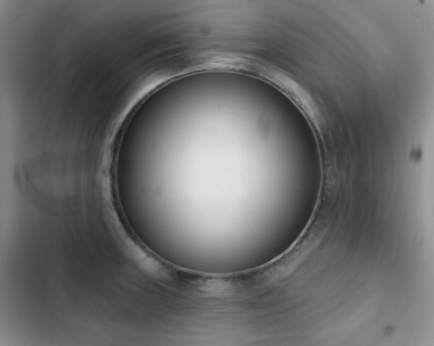 X0000102851235200808181410