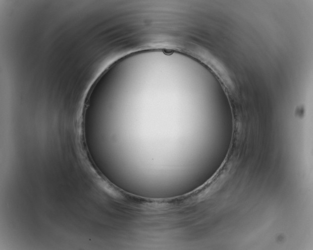 X0000102851236200808181410