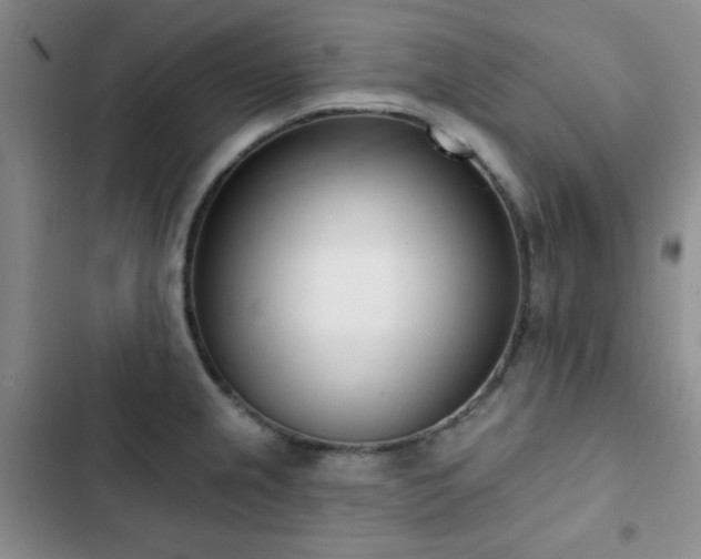 X0000102851237200808181410