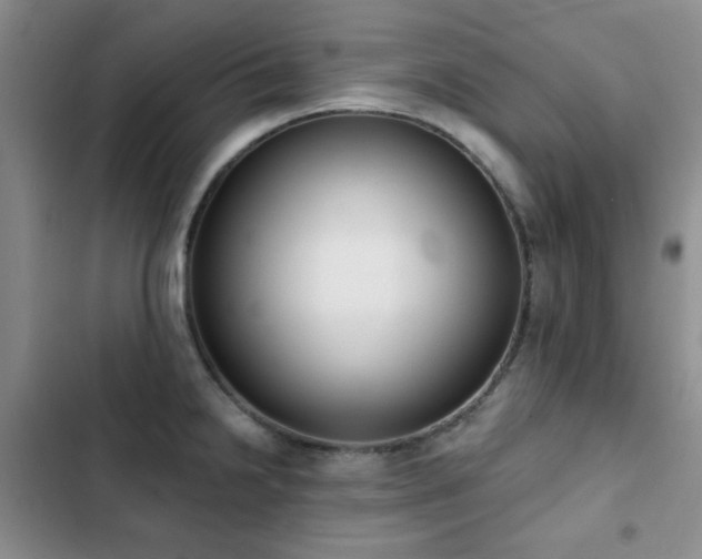 X0000102851238200808181410