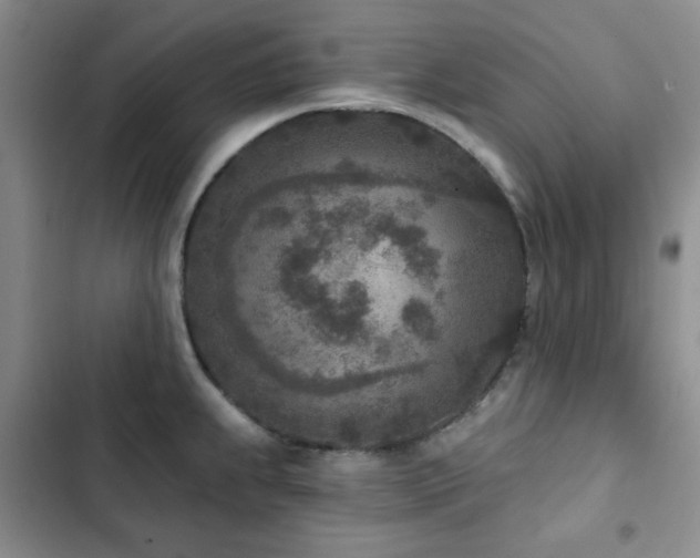 X0000102851239200808181410