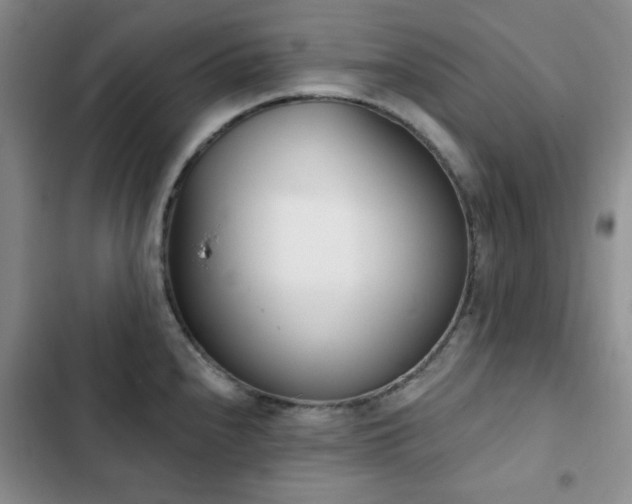 X0000102851240200808181410