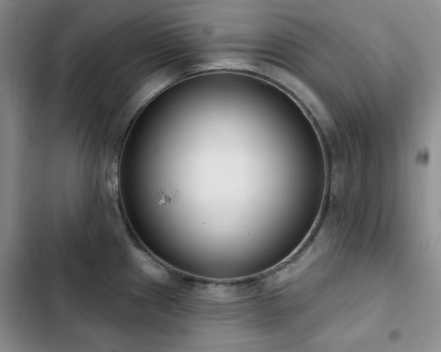 X0000102851241200808181410