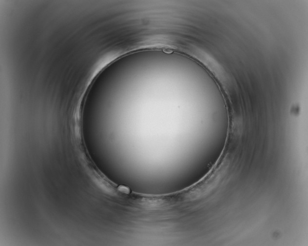 X0000102851242200808181410