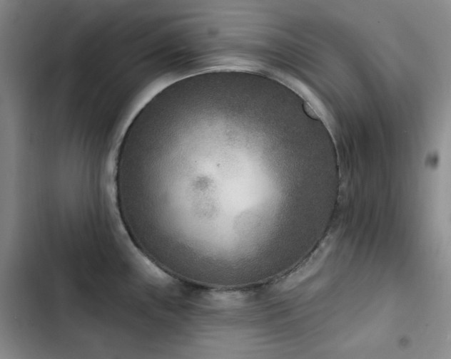X0000102851243200808181410