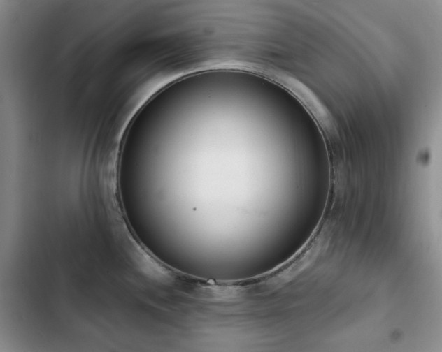 X0000102851244200808181410