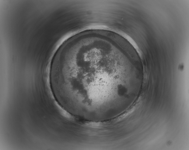 X0000102851245200808181410
