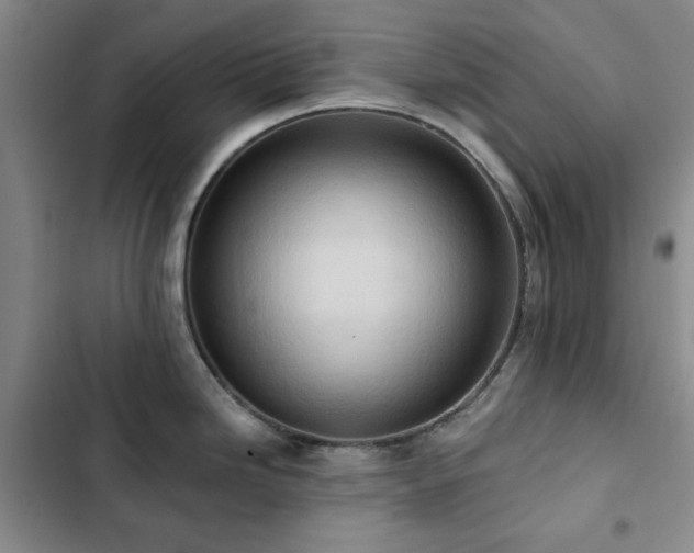 X0000102851246200808181410