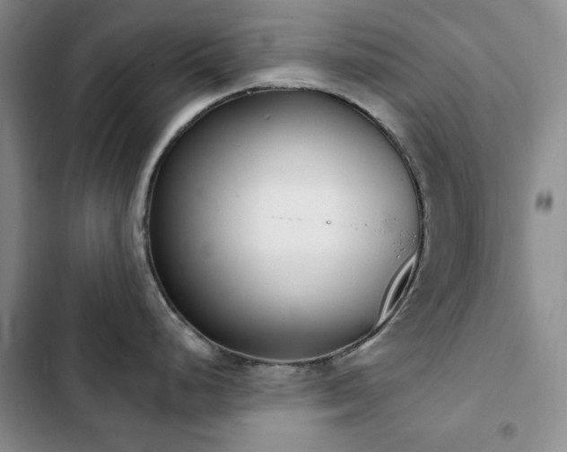 X0000102851248200808181410