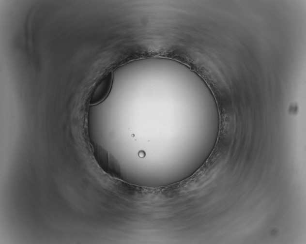 X0000102851249200808181409