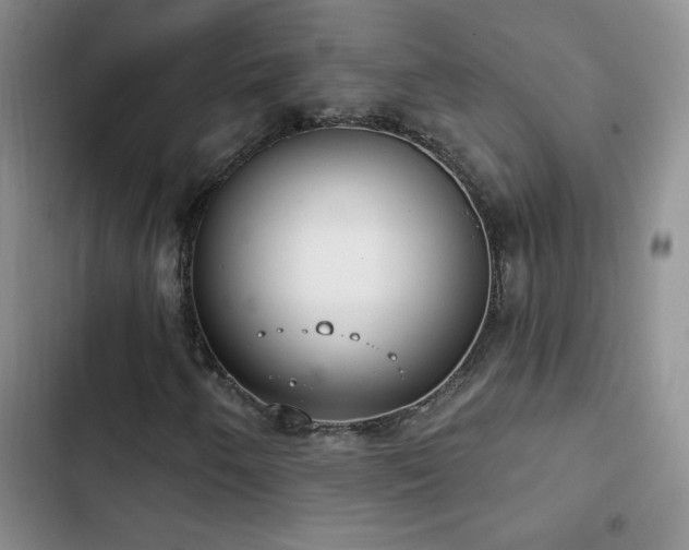 X0000102851250200808181409