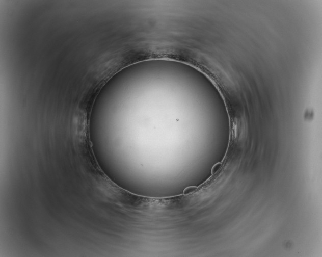 X0000102851251200808181409