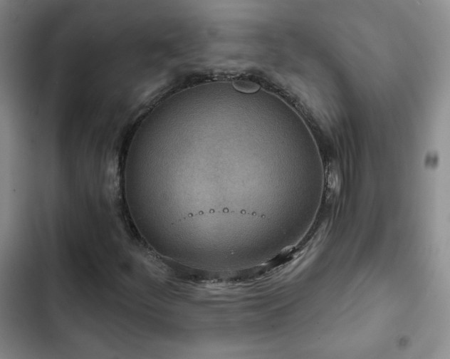 X0000102851252200808181409