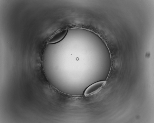 X0000102851253200808181409