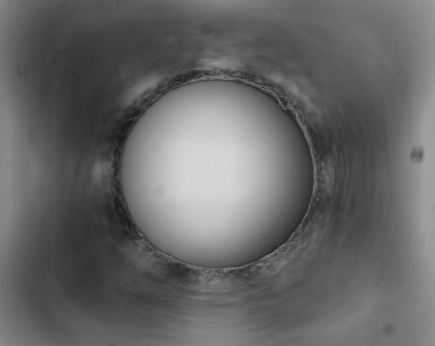 X0000102851254200808181409