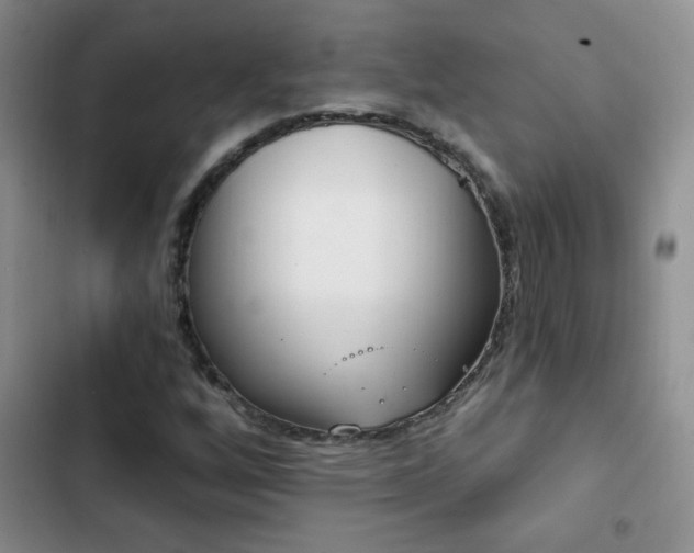 X0000102851256200808181409