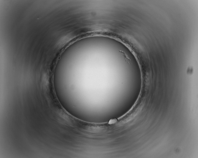 X0000102851257200808181409