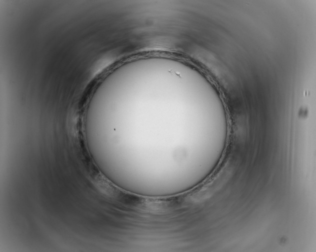 X0000102851258200808181409
