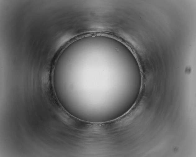 X0000102851259200808181409