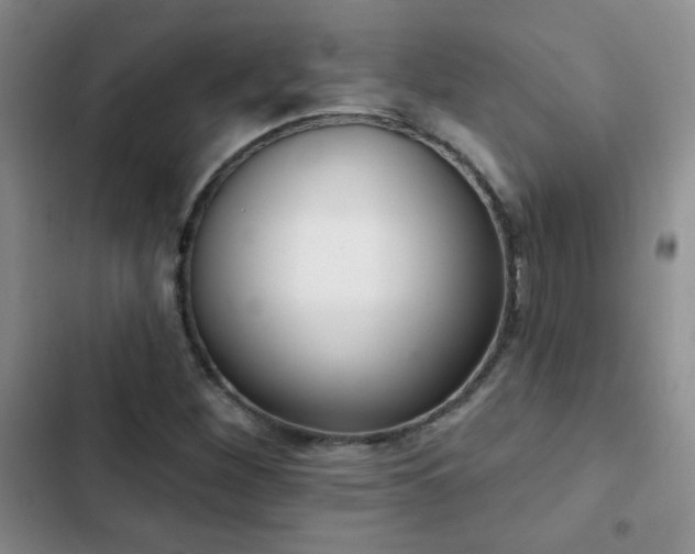 X0000102851260200808181409