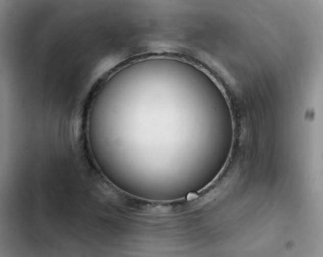 X0000102851261200808181409