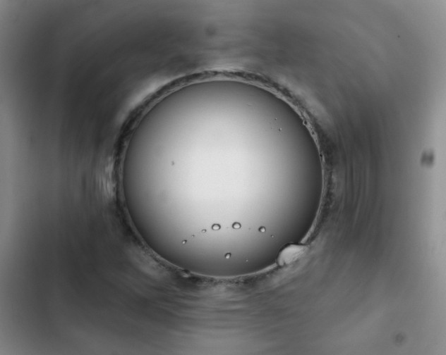 X0000102851262200808181409
