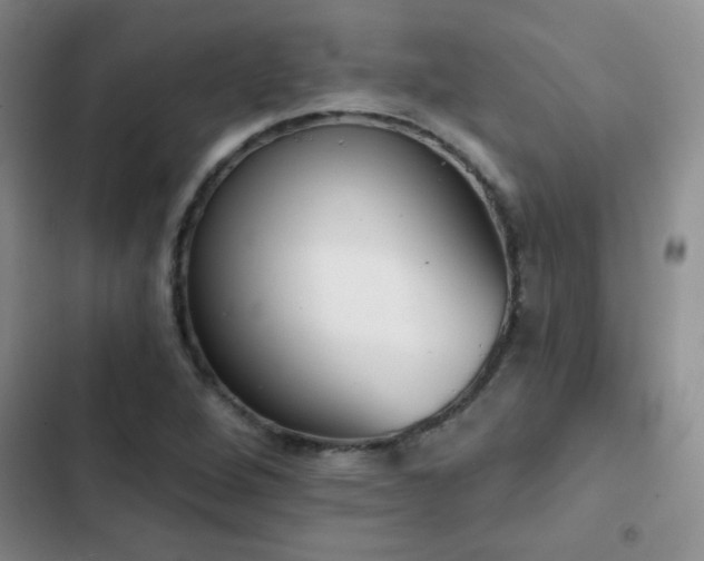 X0000102851264200808181409