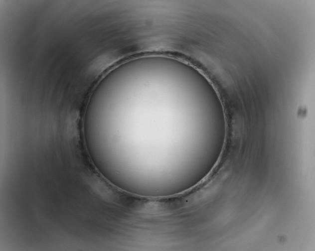 X0000102851265200808181409