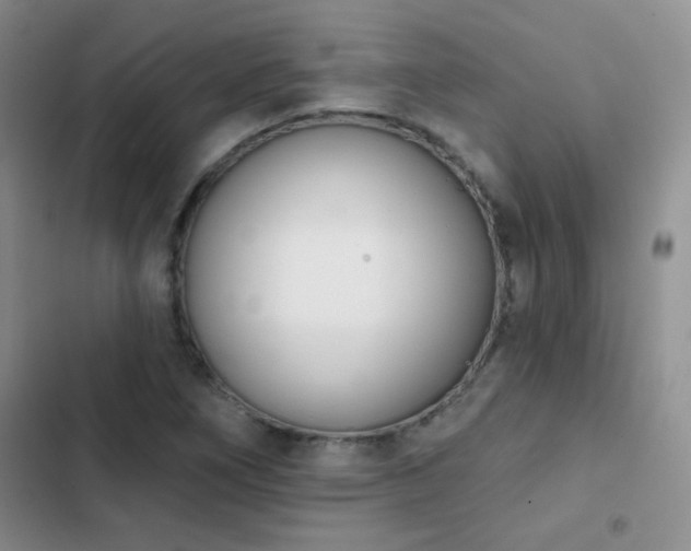 X0000102851266200808181409