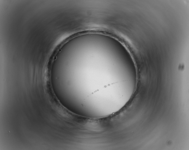 X0000102851267200808181409