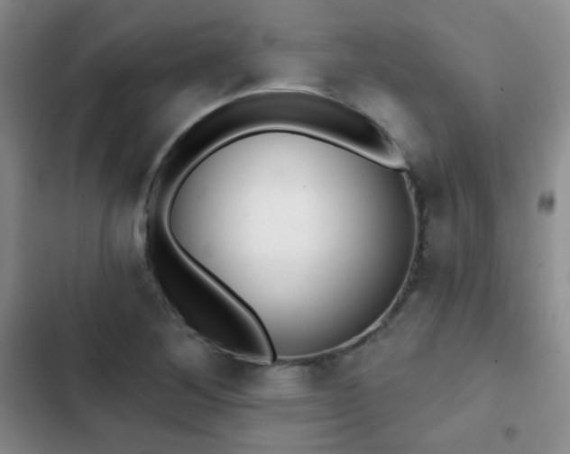 X0000102851268200808181409