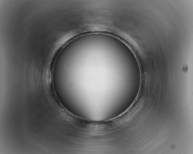 X0000102851269200808181409