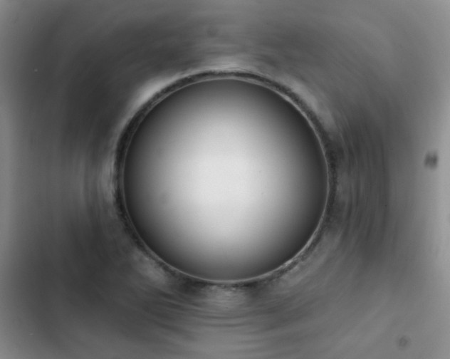 X0000102851270200808181409