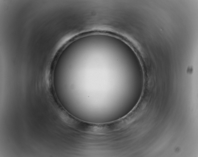 X0000102851271200808181409
