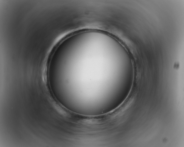 X0000102851272200808181409