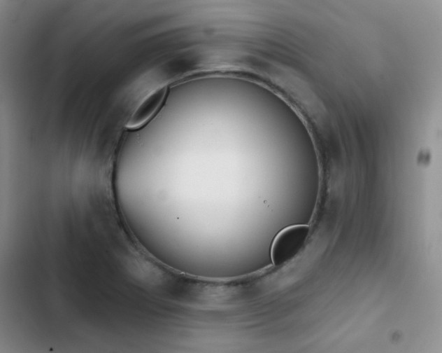 X0000102851273200808181409