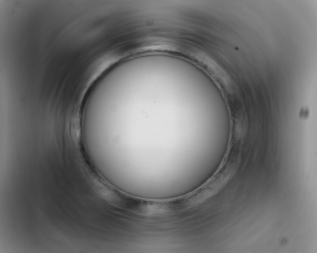 X0000102851274200808181409