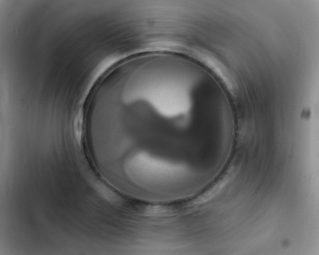X0000102851275200808181409